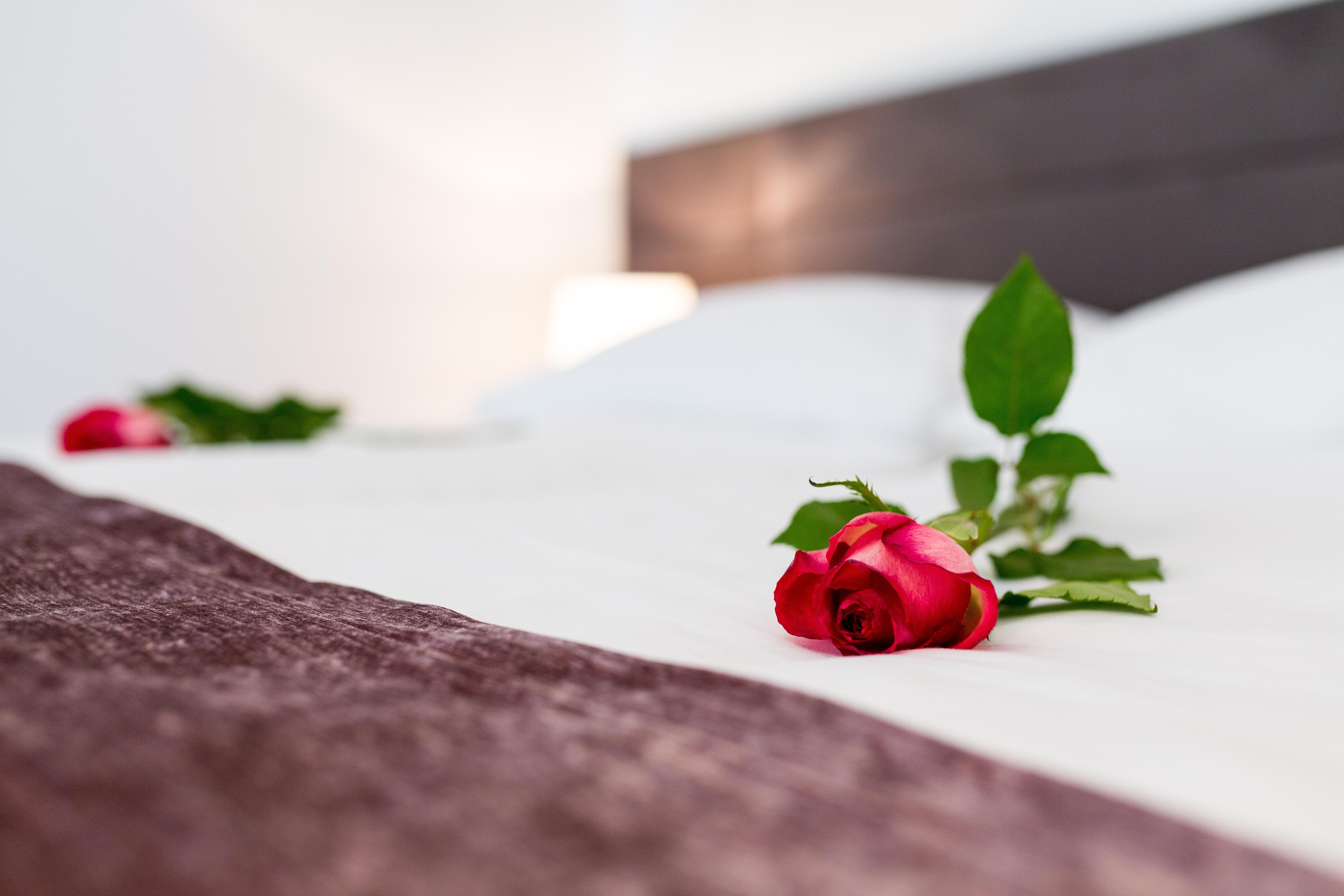 Starlight Luxury Rooms Split Ngoại thất bức ảnh